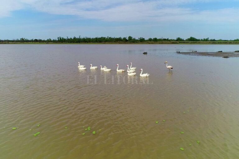 Buscan realizar un ordenamiento territorial de los humedales y una categorización de sus usos. Fernando Nicola