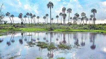 El ambiente de humedal es representativo por sus zonas de lagunas