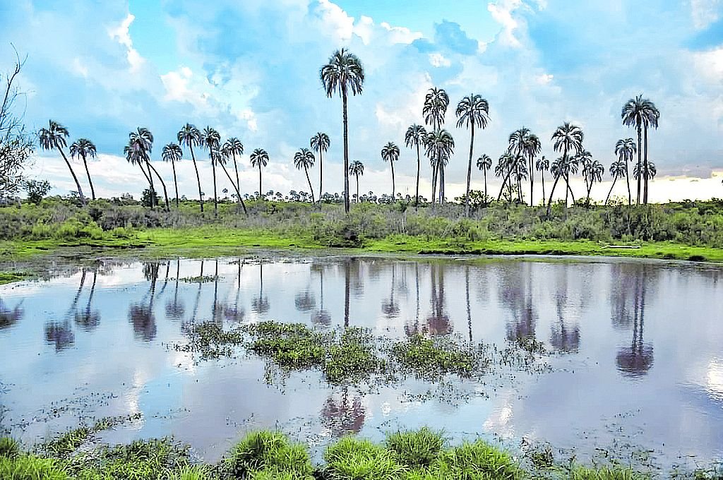 El ambiente de humedal es representativo por sus zonas de lagunas