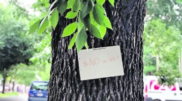 Los vecinos consideran que talar los árboles para el ensanche del bulevar es dañar el pulmón verde de la zona.