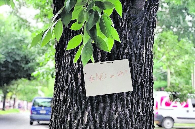 Los vecinos consideran que talar los árboles para el ensanche del bulevar es dañar el pulmón verde de la zona.