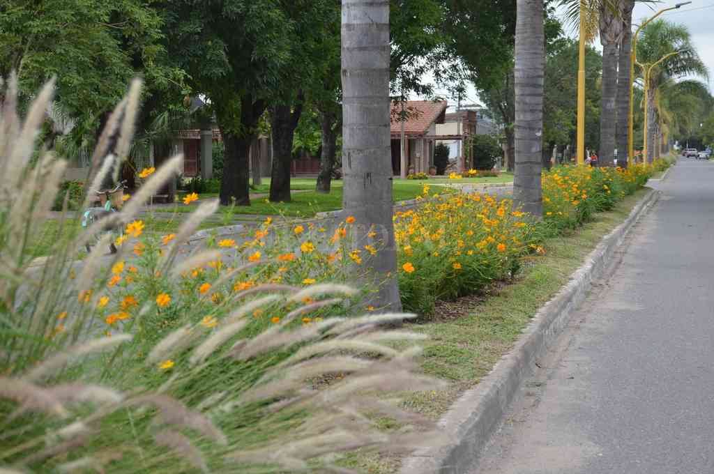 Gentileza