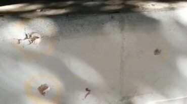 Así quedó el frente de la casa Gentileza