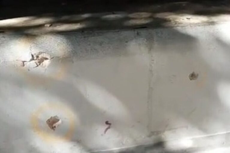 Así quedó el frente de la casa Gentileza