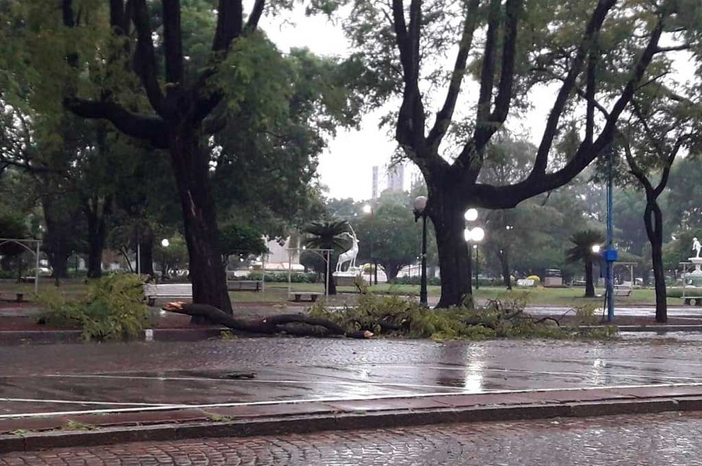 Gentileza Rafaela Informa