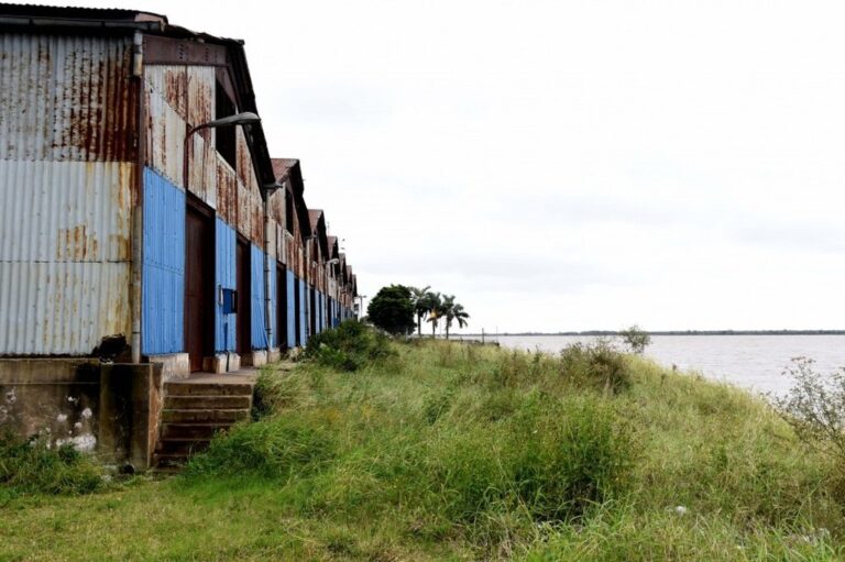 gentileza Mun. de Rosario