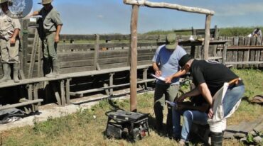 Efectivos de la Dirección General de Seguridad Rural "Los Pumas" recuperaron 150 animales en campos de un conocido abogado verense. Gentileza: prensa Ministerio de Seguridad de la Provincia.