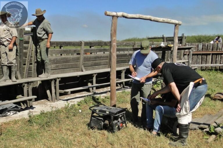Efectivos de la Dirección General de Seguridad Rural "Los Pumas" recuperaron 150 animales en campos de un conocido abogado verense. Gentileza: prensa Ministerio de Seguridad de la Provincia.