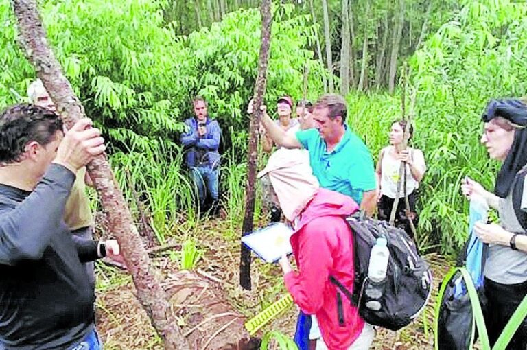 Realizaron recorridas por el Delta Entrerriano.
