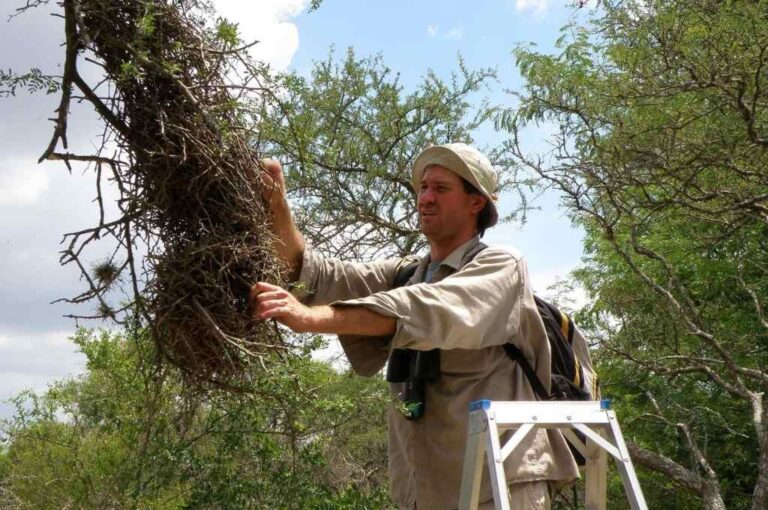 Relevamiento. En la reserva Dr. Martín R. de la Peña de la Universidad Nacional del Litoral