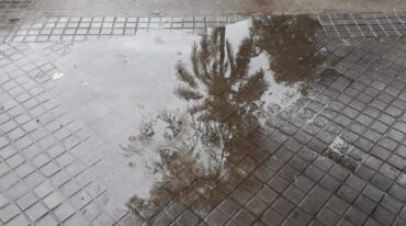 Tras la lluvia