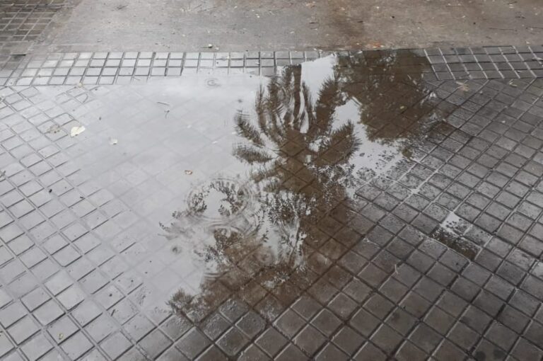 Tras la lluvia