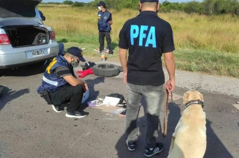 Parte de la banda fue apresada en el kilómetro 788 de la Ruta 11