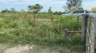 Los delincuentes rompieron un candado y cortaron alambres para llevarse los animales al arreo por caminos rurales. Gentileza: productores.
