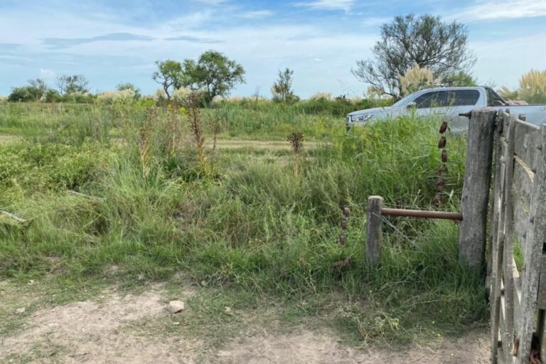 Los delincuentes rompieron un candado y cortaron alambres para llevarse los animales al arreo por caminos rurales. Gentileza: productores.