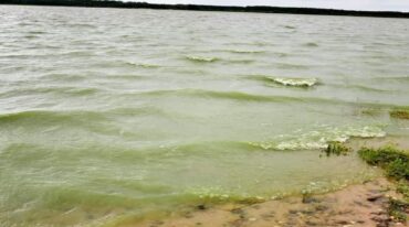 La prueba de aguas abiertas fue suspendida por el "verdín" que muestra el Lago Salto Grande.  Gentileza