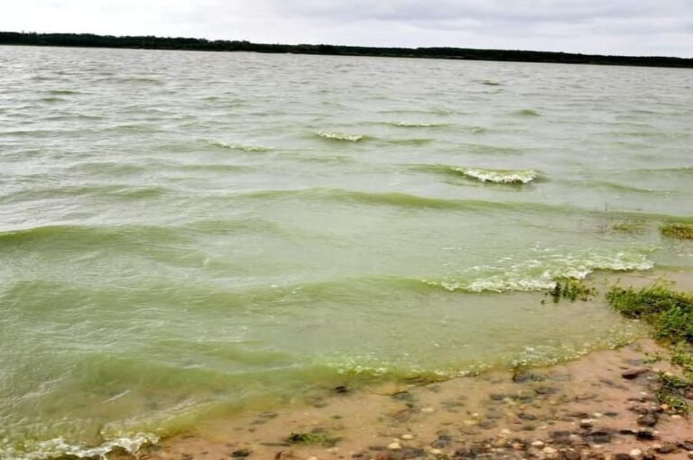 La prueba de aguas abiertas fue suspendida por el "verdín" que muestra el Lago Salto Grande.  Gentileza