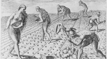 "Es que nuestra América del Sur era (es) un enorme vergel. Semejante al paraíso del que hablaban los libros sagrados". Archivo.