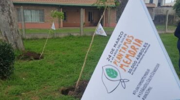 En la localidad del oeste provincial se plantaron cuatro plantas. Mirador Provincial.