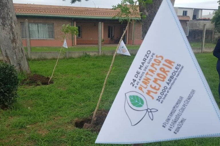 En la localidad del oeste provincial se plantaron cuatro plantas. Mirador Provincial.