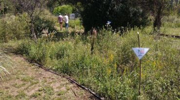 El Palmar también es sede del programa Plantamos memoria. Silvia Simmone