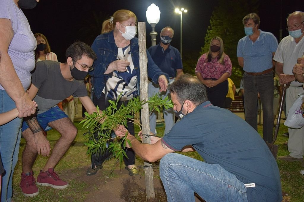 "Este año por ejemplo plantamos árboles por el programa ´plantemos memoria` en varias instituciones