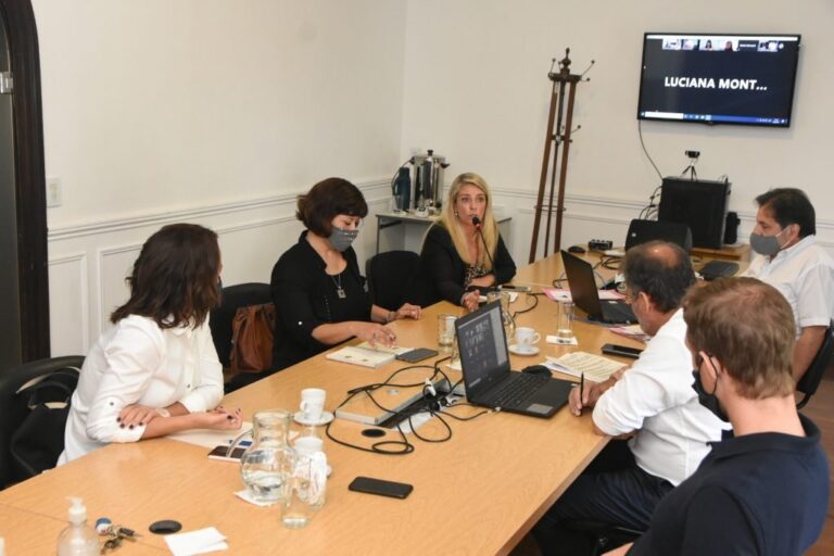 La concejala Schmuck con la Comisión de Obras Públicas. Gentileza: prensa Concejo Deliberante de Rosario.