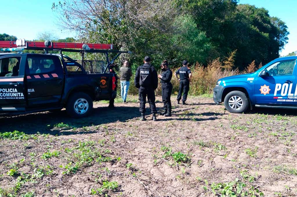 La policía intenta dar con el paradero del puma en Casilda Gentileza Radio Casilda FM 91.1