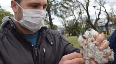 El médico veterinario Dr. Alan Aisupuru