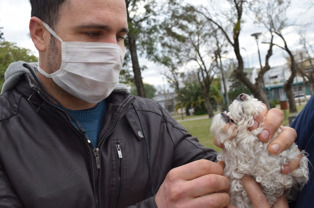 El médico veterinario Dr. Alan Aisupuru