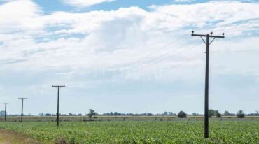 Gentileza