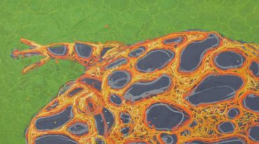'Cururú' (1993) Acrílico sobre tela (detalle)