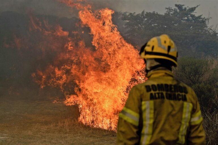 Se produjeron nuevos incendios en los últimos días frente a Rosario. Archivo.