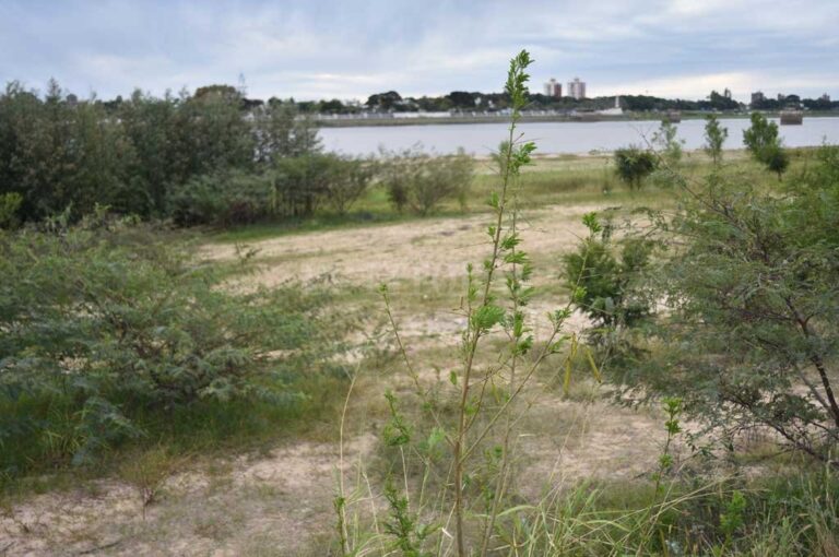 Manuel Alberto Fabatía