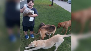Bautista se ganó el cariño de todo un país gracias al noble gesto de alimentar a los perros callejeros.