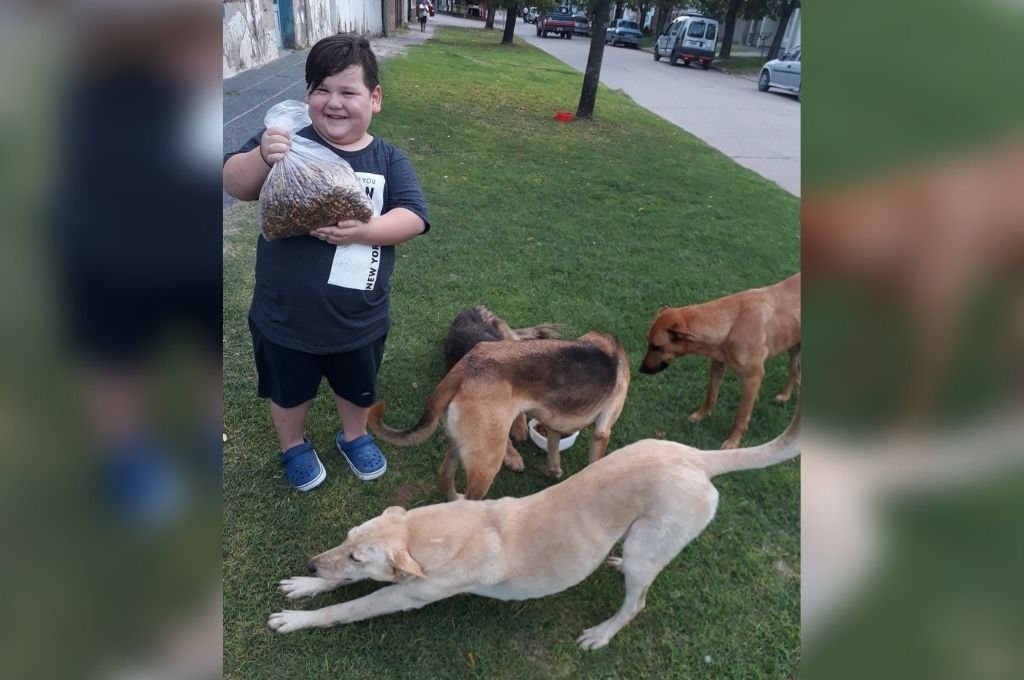 Bautista se ganó el cariño de todo un país gracias al noble gesto de alimentar a los perros callejeros.