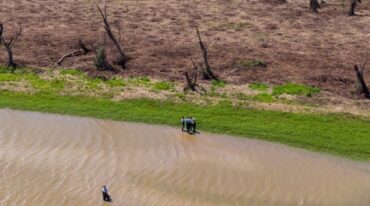 El equipo de investigadores realizó un trabajo de campo en la zona de islas. Gentileza