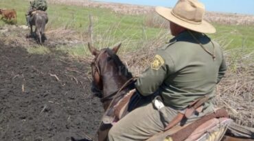 El caso está siendo investigado por personal de la Guardia Rural
