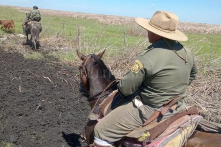 El caso está siendo investigado por personal de la Guardia Rural
