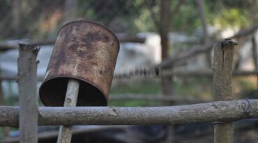 Descacharrar es la tarea y se tiene que desarrollar durante todo el año para evitar la reproducción del mosquito que transmite el dengue