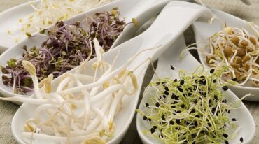 Los alimentos vivos son ricos en vitaminas