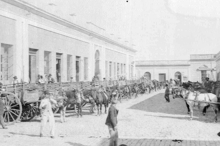 Imagen del Mercado La Paz