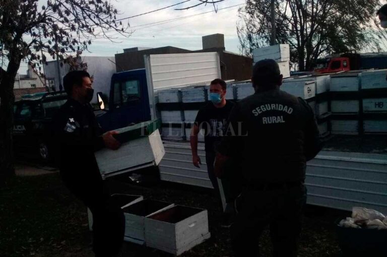 La mayoría de los panales ya habían sido repintados cuando los encontró la policía. El Litoral