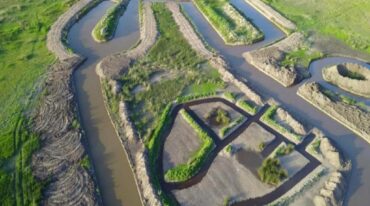 En el centro se destaca la isla mayor que contendrá el paseo por plantas acuáticas y túneles de árboles