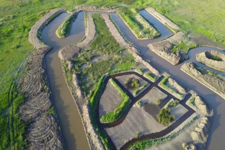 En el centro se destaca la isla mayor que contendrá el paseo por plantas acuáticas y túneles de árboles
