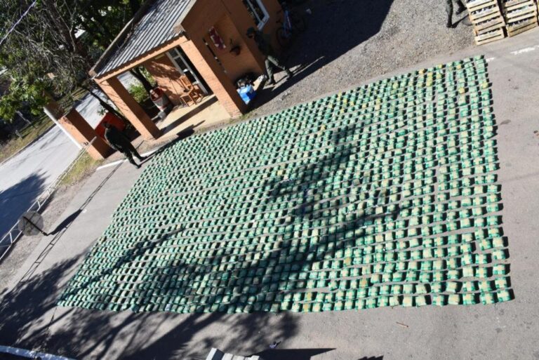 Las hojas de coca venían ocultas entre cajones de verduras. Gentileza.