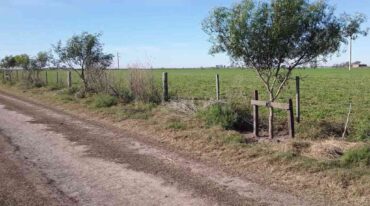 Gentileza