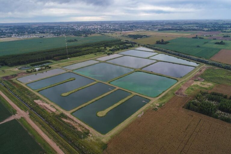 Obras Sanitarias inauguró en 2019 el cuarto módulo de lagunas y en cada uno de ellos se procesan 100 mil metros cúbicos mensuales de residuos líquidos. Gentileza.