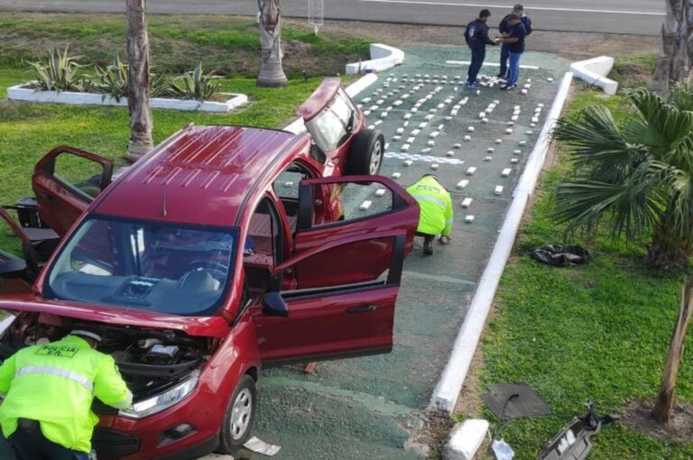 Intervino personal de la División Toxicología de la Jefatura de Policía Departamental Federación