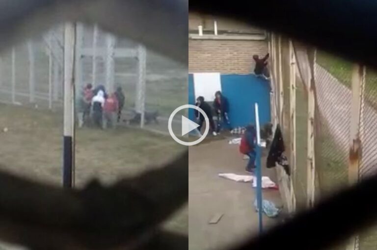 Captura de video